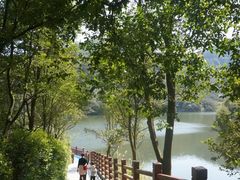 -黄埔油麻山森林公园