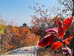 -北京西山国家森林公园