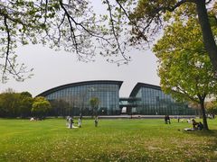 -上海吴淞炮台湾国家湿地公园