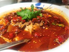 毛血旺-辛香汇(飞洲店)