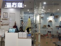 -猫冇咖·家门口的撸猫馆(大融城店)