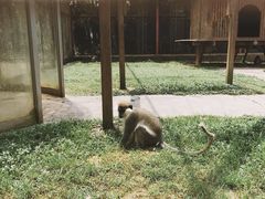 -南昌动物园