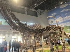 -自贡恐龙博物馆