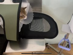 -宠颐生中康贝怡动物医院