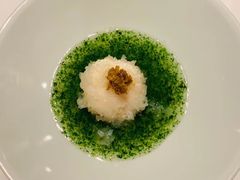 -觀芷隐轩