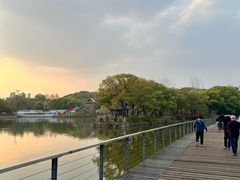 -月湖风景区