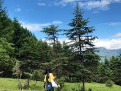 -硗碛藏寨·神木垒景区