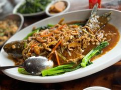 -鲤鱼塘农家山庄