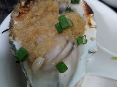-蚝专家