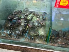 -大茄来海鲜餐厅(亚洲城分行)