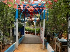 -马大胡子清真西北菜