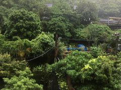 -台北北投丽禧温泉酒店