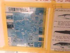 -日月潭