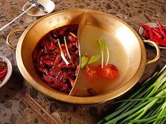 红白鸳鸯锅-小龙坎老火锅(展览馆店)