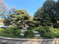 -河南省黄河迎宾馆