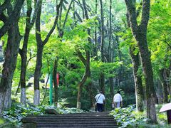 -宁波市保国寺古建筑博物馆