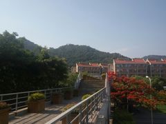 -厦门国家会计学院