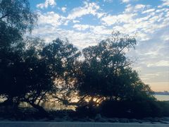 -宝安西湾红树林湿地公园