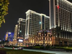 -澳门威尼斯人综合度假区