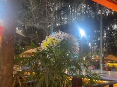-二荆条·蜀鲜汇城市森林火锅