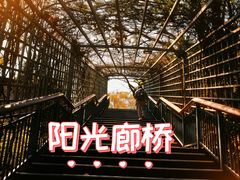 -金鸡山公园