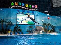 -泉城欧乐堡海洋极地世界