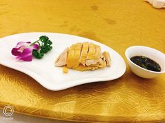 -梅龙镇酒家(南京西路总店)