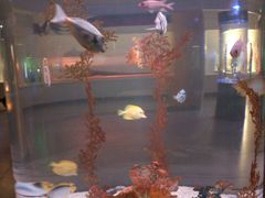 -常州海昌海洋探索馆