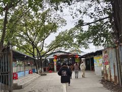 -伟记牛蹄(道滘店)