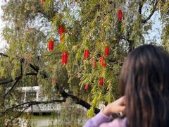 -人民公园(罗湖区)