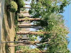 -凤岭儿童公园