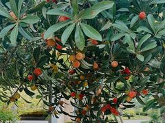 -雅达·阳羡溪山小镇中心