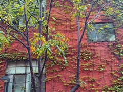 -海峡创意产业园