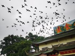 -南华禅寺