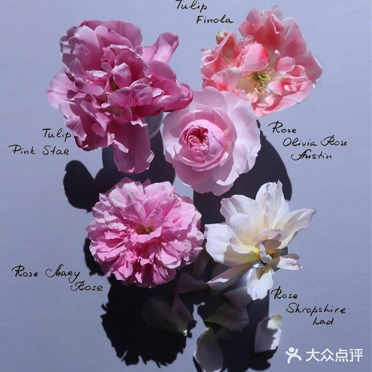 岁月如花，笑看花开，静赏花落是人生的一种极致