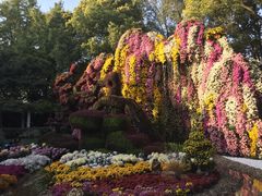 -汇龙潭