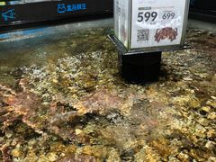 水产区-盒马鲜生(岭南新世界店)