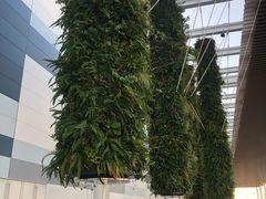 -中部国际机场