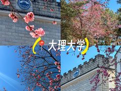 -大理洱海