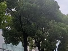 -南屏步行街