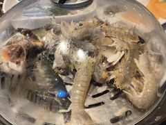 -半岛听涛蒸汽海鲜自助(K11店)