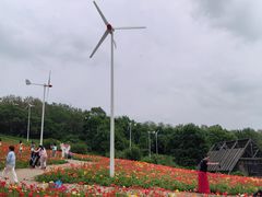 -沈阳植物园
