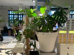 -一尺花园(安和花园店)