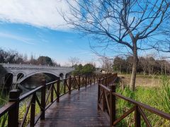 -贡湖湾湿地公园