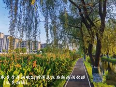 -洋湖国家湿地公园