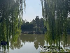 -商丘市人民公园