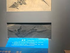 -辽宁古生物博物馆