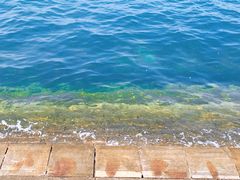 -悦海公园