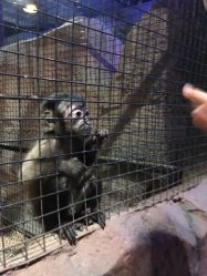 -酷嗒动物文化乐园(cutezoo西溪乐天城店)