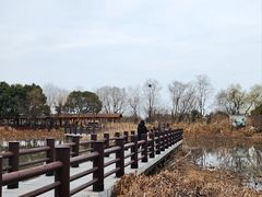 -长兴太湖图影湿地文化园